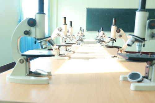 四川托普信息技术职业学院2020年单招报考指南 网络信息技术研发方向